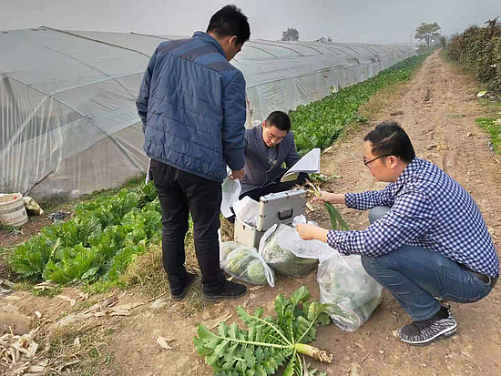 2024年免费资料大全